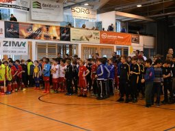 mini-2017-01-29-DSC_4515
